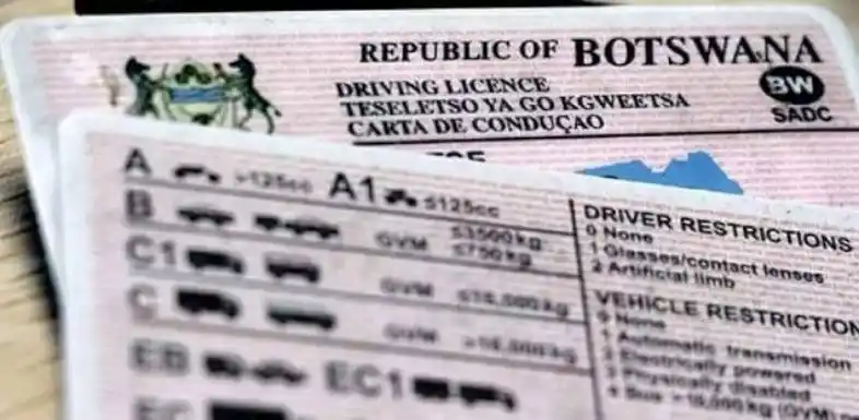 How To Apply For A Driving Licence In Botswana